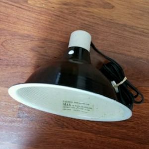 Reptile Lamp